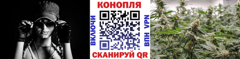 Купить закладку Галлюциногенные грибы  Бутират  МЕФ  ГАШИШ  Канабис  Орехово-Зуево