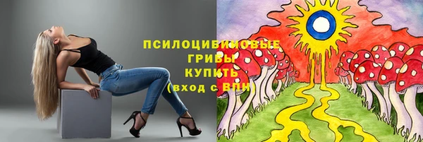 2c-b Корсаков