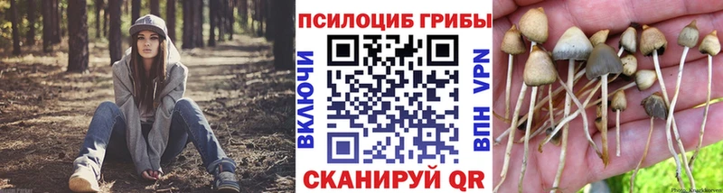 Галлюциногенные грибы мицелий  Купить где  Орехово-Зуево 